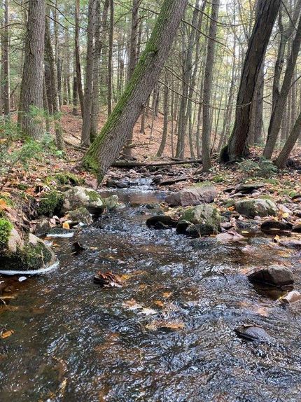 Farm and Ranch in Sullivan County, New York