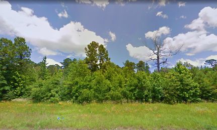 Undeveloped Land in Angelina County, Texas
