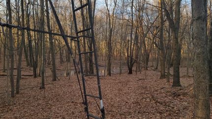 Land in Barry County, Michigan