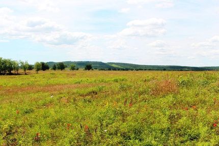 Timberland Property in Pittsburg County, Oklahoma