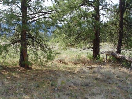 Recreational Property in Okanogan County, Washington