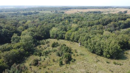 Timberland Property in Decatur County, Iowa