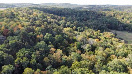 Land in Juneau County, Wisconsin