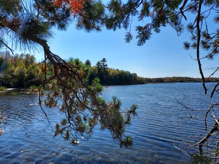 Waterfront Property in Forest County, Wisconsin