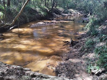 Recreational Property in Coffee County, Alabama