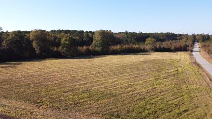 Undeveloped Land in Marion County, South Carolina