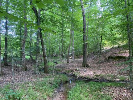 Timberland Property in Lee County, Alabama