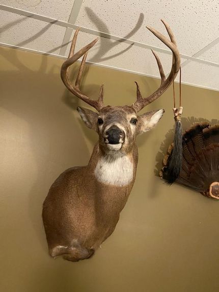 Farm and Ranch in Sullivan County, Missouri