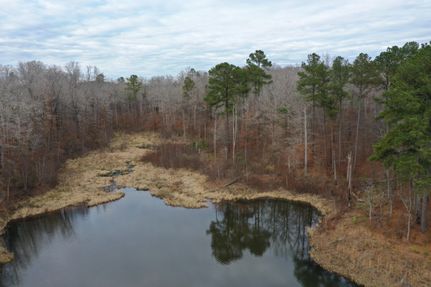 Timberland Property in Benton County, Mississippi