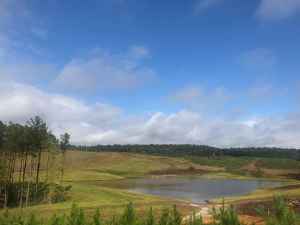 Land in Shelby County, Alabama