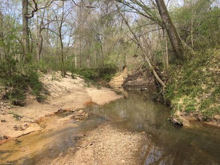 Farm and Ranch in Jefferson County, Mississippi