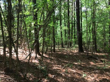 Farm and Ranch in Rankin County, Mississippi