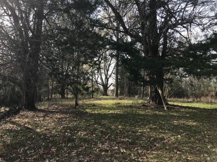 Timberland Property in Hinds County, Mississippi