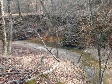 Recreational Property in Claiborne County, Mississippi
