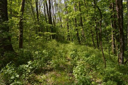 Land in Wilson County, Tennessee