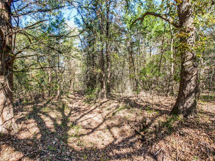 Recreational Property in Fannin County, Texas