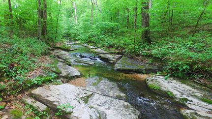 Undeveloped Land in Hardin County, Tennessee