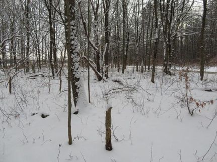 Land in Lewis County, New York