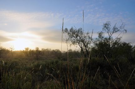 Farm and Ranch in Garza County, Texas