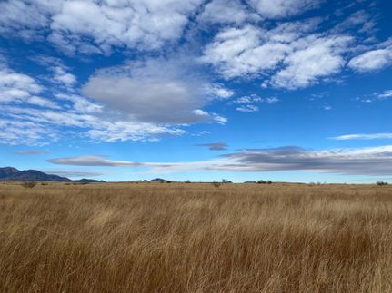 Undeveloped Land in Santa Cruz County, Arizona