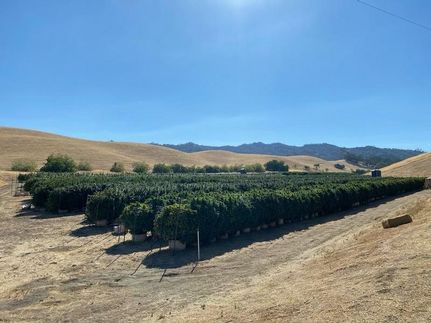 Timberland Property in Yolo County, California