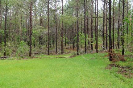 Timberland Property in Simpson County, Mississippi