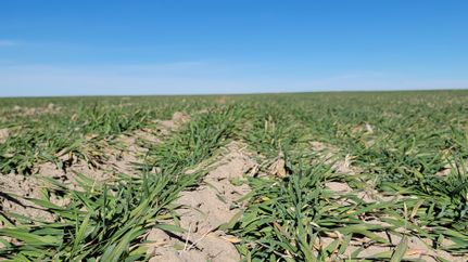 Farm and Ranch in Logan County, Colorado