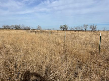 Undeveloped Land in Jones County, Texas
