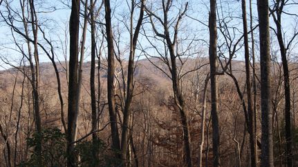 Land in Greenville County, South Carolina