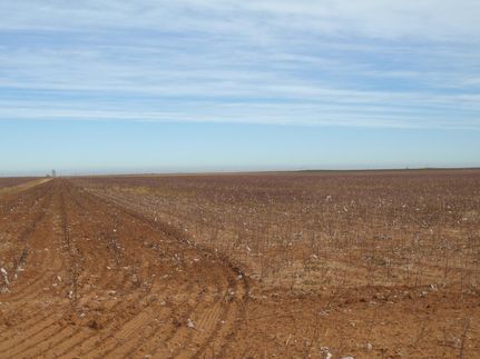 Timberland Property in Lamb County, Texas