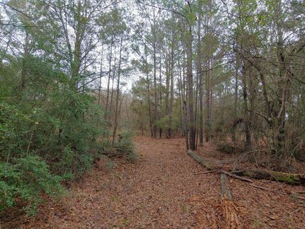 Recreational Property in Grimes County, Texas