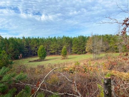 Farm and Ranch in Montgomery County, Alabama