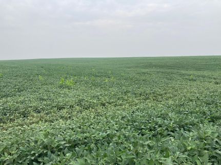 Farm and Ranch in Nuckolls County, Nebraska