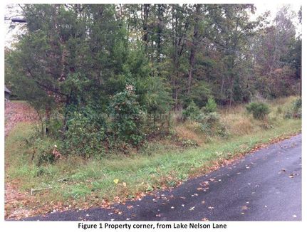 Undeveloped Land in Nelson County, Virginia