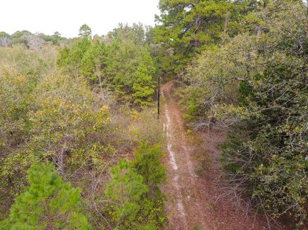 Timberland Property in Wood County, Texas