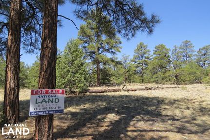 Hunting Property in Cibola County, New Mexico
