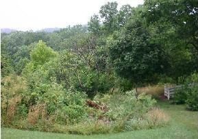 Land in Dearborn County, Indiana