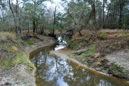 Hunting Property in Lee County, Texas