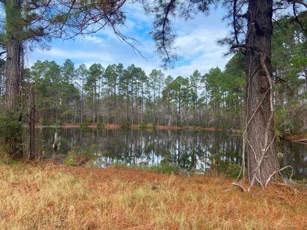 Farm and Ranch in Bulloch County, Georgia
