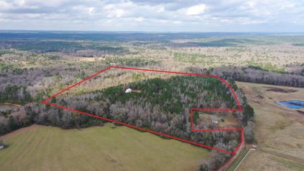 Timberland Property in Marion County, Texas
