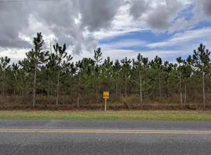Homesite in Suwannee County, Florida