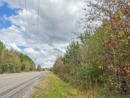 Hunting Property in Liberty County, Texas