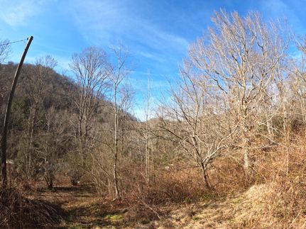 Hunting Property in Perry County, Kentucky