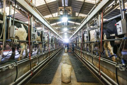 Land in Tulare County, California