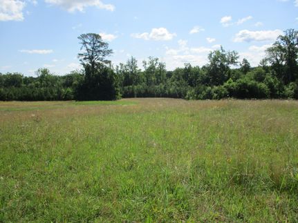 Farm and Ranch in Sussex County, Virginia