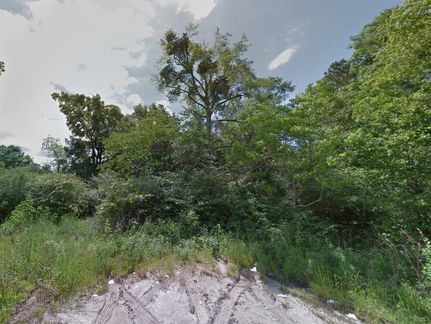 Timberland Property in Santa Rosa County, Florida