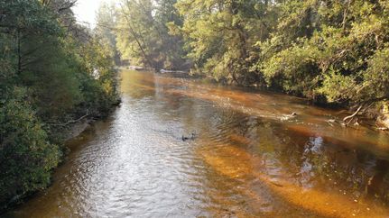Undeveloped Land in Escambia County, Alabama