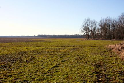 Land in Barton County, Missouri
