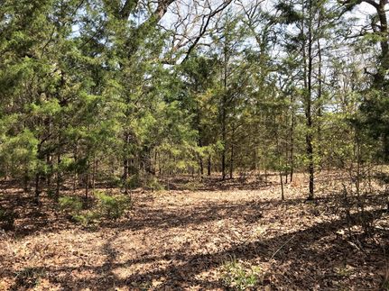 Horse Property in Smith County, Texas