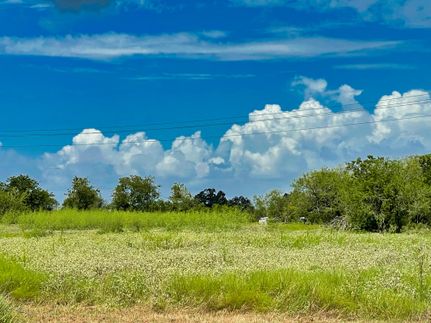 Timberland Property in Caldwell County, Texas